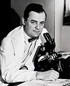 Frederick Chapman Robbins,US virologist