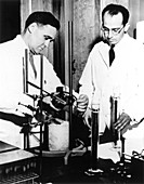 The American microbiologist Jonas Edward Salk
