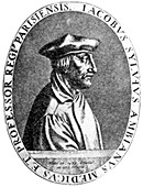 Jacobus Sylvius,French anatomist and physician