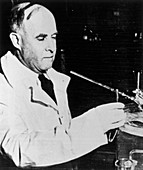James B. Sumner,American biochemist