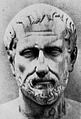 Bust of the Greek botanist,Theophrastus