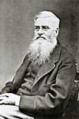 Alfred Russel Wallace,British naturalist