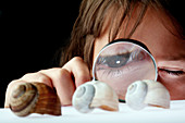 Child studying snail shells