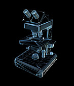 Computer artwork of a light microscope