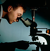 Technician using a binocular light microscope