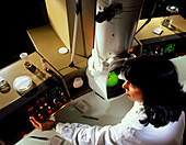Operator using a transmission electron microscope
