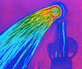 Thermogram of water pouring from a shower head