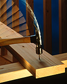 High speed photograph of a hammer striking a nail