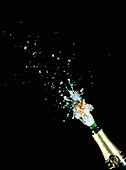 High speed photo of champagne cork popping