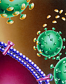 Artwork of the HIV-1 virus and possible treatment