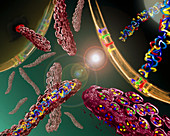 Artwork depicting RNA expression by Ebola virus