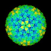 Bluetongue virus particle