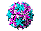 Flock house virus particle