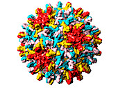 Hepatitis B virus particle