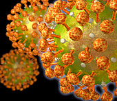 HIV particles