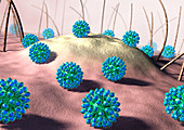 Human papilloma virus particles,artwork