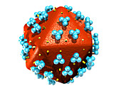 AIDS virus capsid,artwork