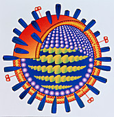 Artwork of an influenza virus