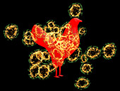 Bird flu infecting a chicken