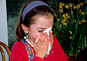Girl with hay fever (rhinitis) blows her nose