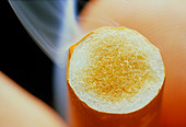 Macrophoto of filtered end of lit cigarette