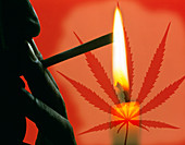 View of a man lighting a cannabis joint