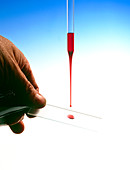 Pipette holding a red liquid