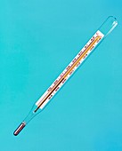 Clinical thermometer at normal body temperature