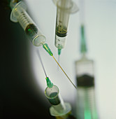 Collection of hypodermic syringes