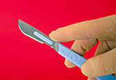 Gloved hand holding a disposable medical scalpel
