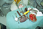 Hip surgery instruments