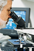 Pathologist examining a sample