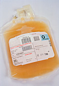 Transfusion bags containing human blood