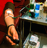 Blood donor at Transfusion centre (Rh negative)