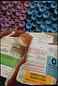 Sample bags of blood from volunteer donation