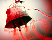 View of a bag containing a blood donation