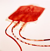 Empty blood bag