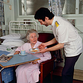 Nurse feeds patient