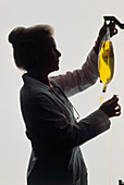 Silhouette of hospital nurse adjusting IV drip