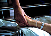 Nurse holds patient's hand