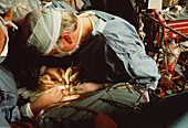 Paediatric heart transplant: surgeon