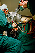 Split beam: operating microscope used in surgery