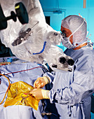 Brain microsurgery