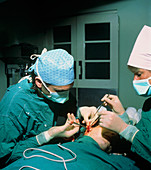 Surgery to pin back a patient's ears