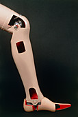 Artificial (prosthetic) leg