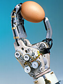 Robotic artificial hand holds an egg