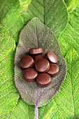 Sage oil pills on sage leaves