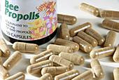 Bee propolis supplements