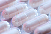 Probiotic and prebiotic supplements