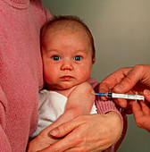 Doctor's hand injecting or vaccinating baby's arm